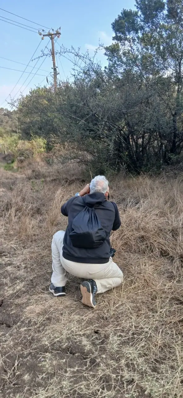 Pausing to look a little closer