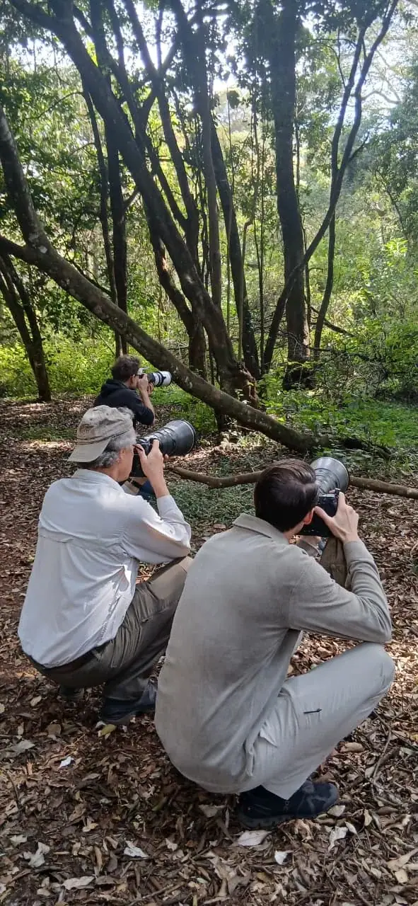 Guests pausing to observe the forest together